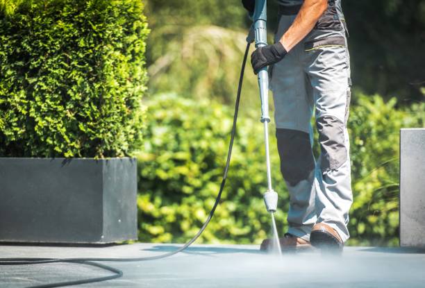 Best Fence Cleaning  in Nicollet, MN