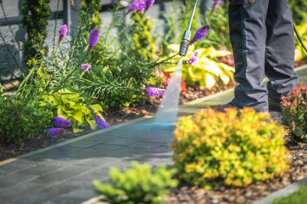 Best Pool Deck Cleaning  in Nicollet, MN